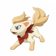 护主犬