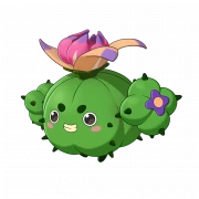 蹦蹦草（彩玉球形态）
