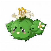 蹦蹦草（象牙球形态）